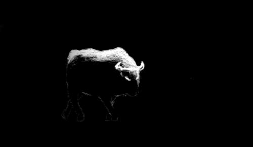 Extrait du spectacle "Raging Bull" - Le taureau